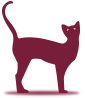 Le Chat Perché - Restaurant Montpellier