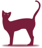 Le Chat Perché - Restaurant Montpellier